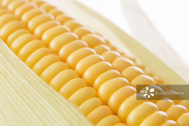 新鲜的玉米图片素材
