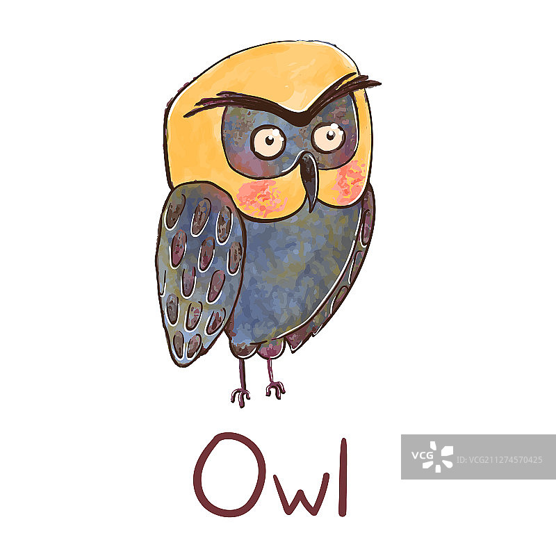 彩色可爱猫头鹰图片素材