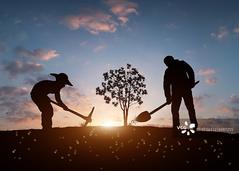 植树节劳动种树图片素材