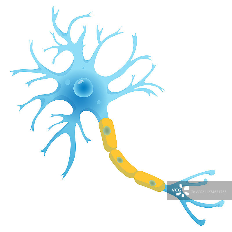 神经元结构神经细胞扁平风格图片素材