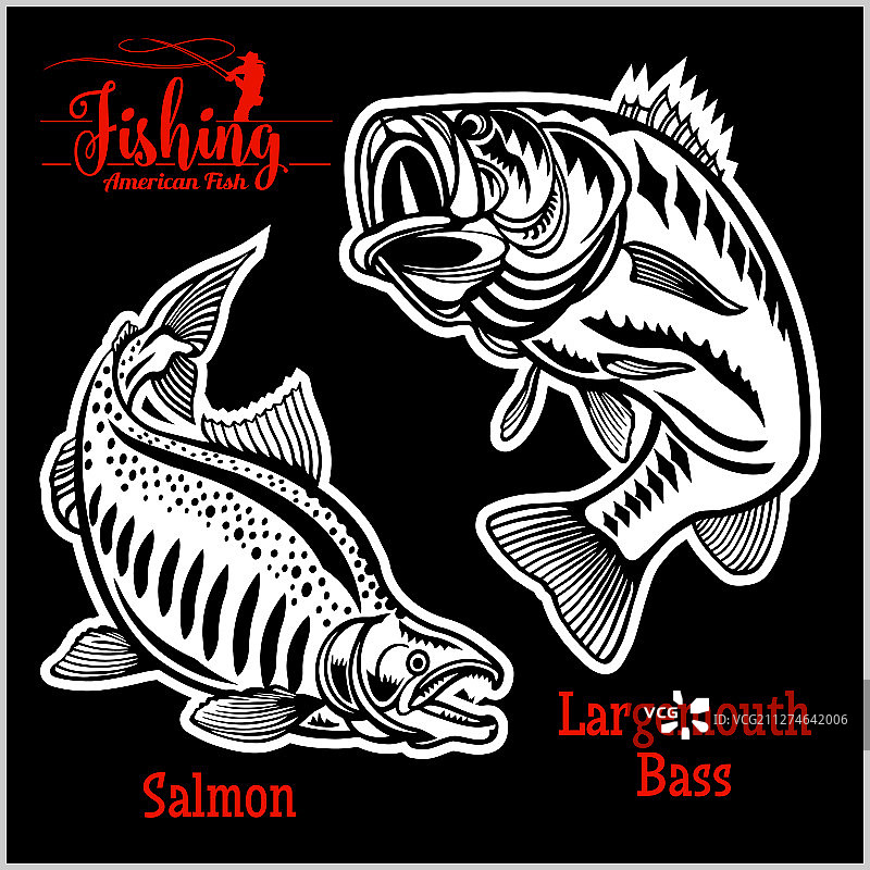 大口鲈鱼和鲑鱼在美国钓鱼图片素材