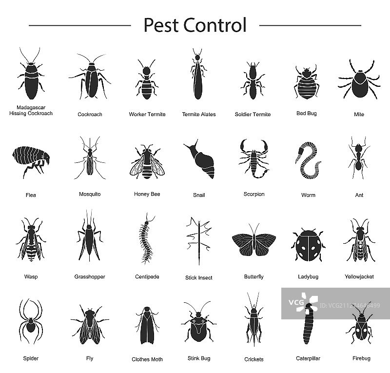昆虫黑色图标集图片素材