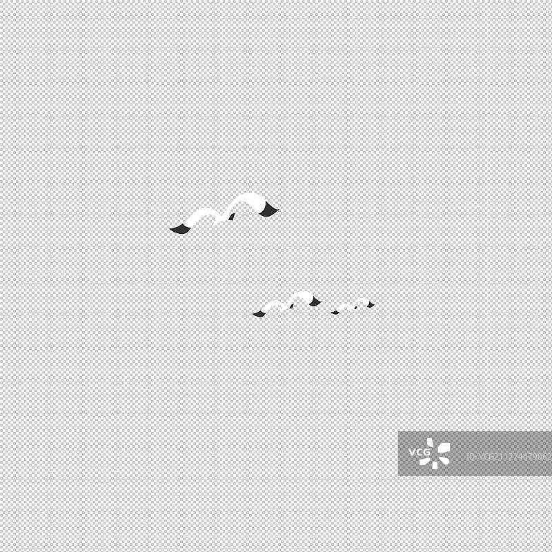 扁平三只黑白海鸥图片素材