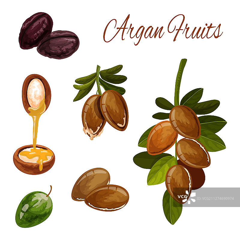 摩洛哥坚果油飞溅，含坚果的化妆品植物图片素材