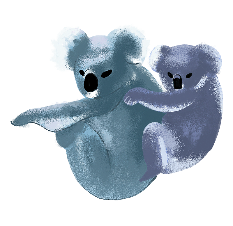 考拉母子图片素材