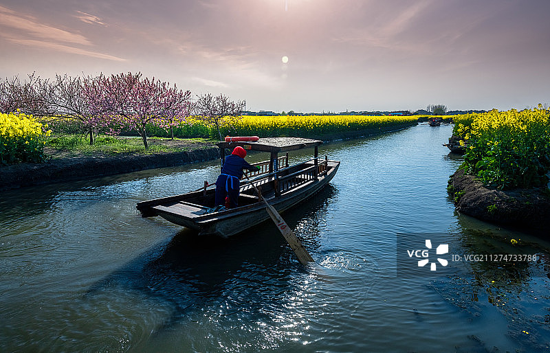 江苏泰州兴化垛田春色图片素材