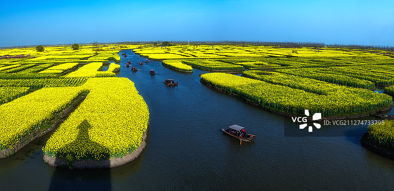 江苏泰州兴化垛田春色图片素材