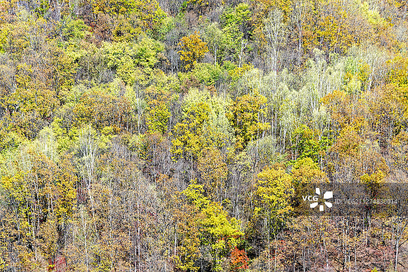层林尽染图片素材