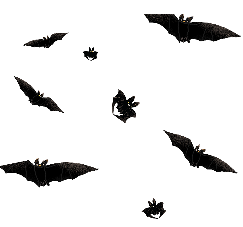 一群黑色的蝙蝠图片素材