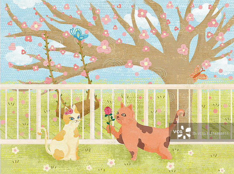 樱花树下的猫咪图片素材