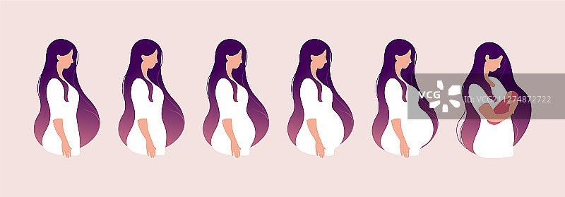 妊娠期的主要变化阶段图片素材