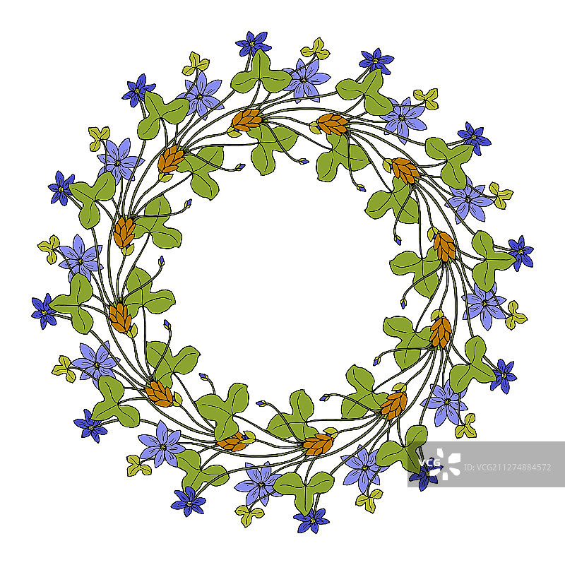 手绘野生草本花环 - 鬼针草图片素材