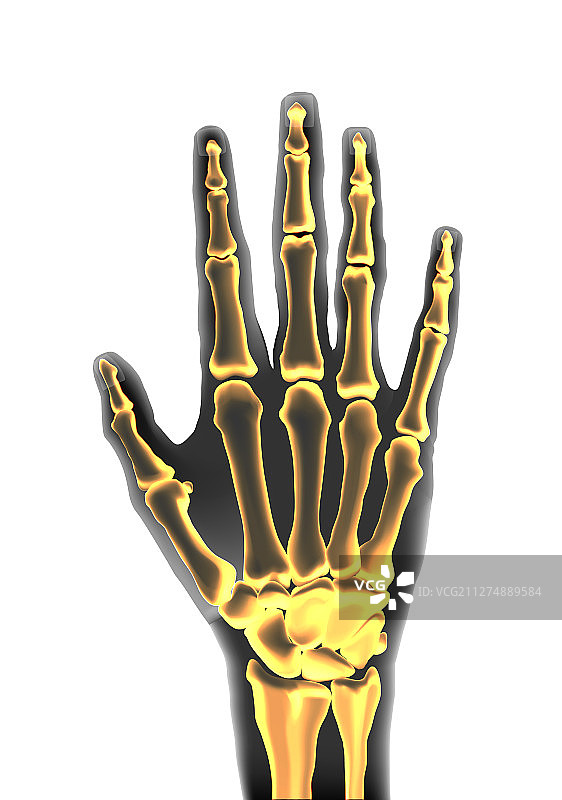 逼真黑黄色透明人手图片素材