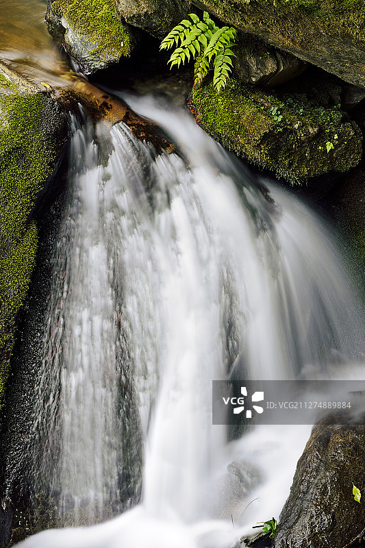 中国四川唐家河自然保护区的小瀑布图片素材