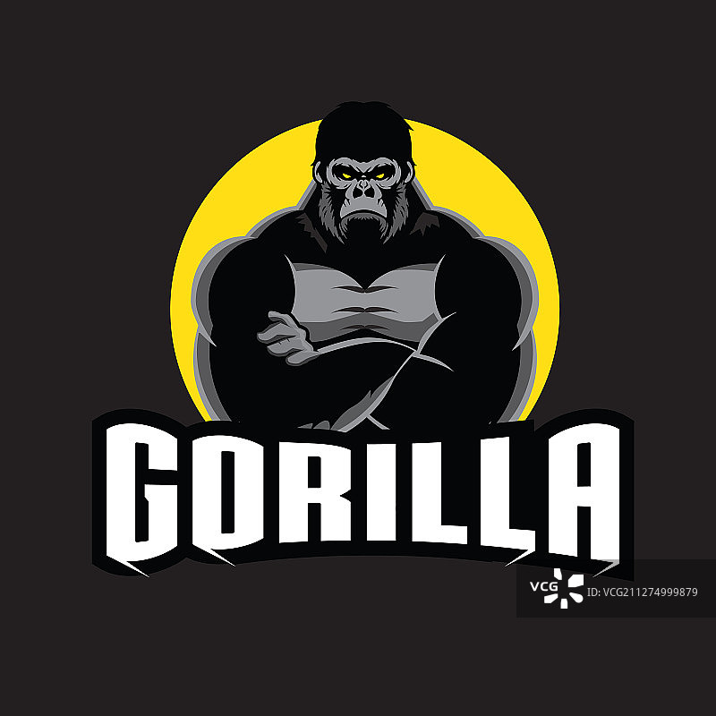 大猩猩图片素材