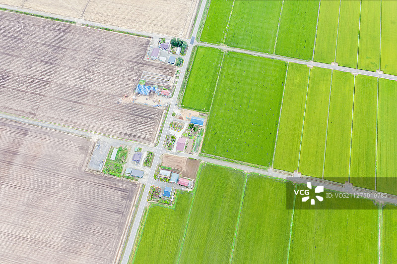 日本北海道富良野乡村田园风光航拍正上方视角图片素材