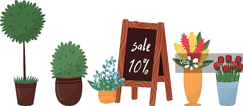 盆栽中的各种花卉图片素材