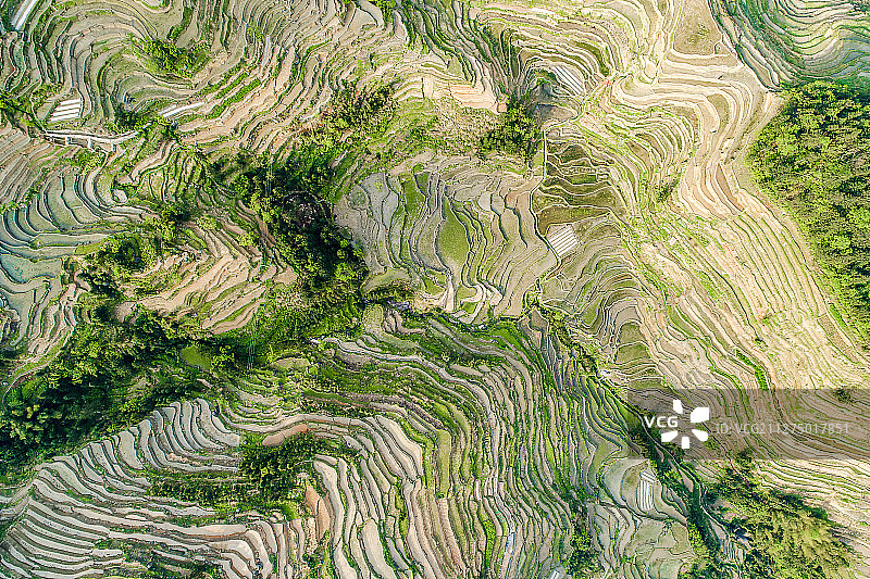 湖南紫鹊界秦人梯田图片素材