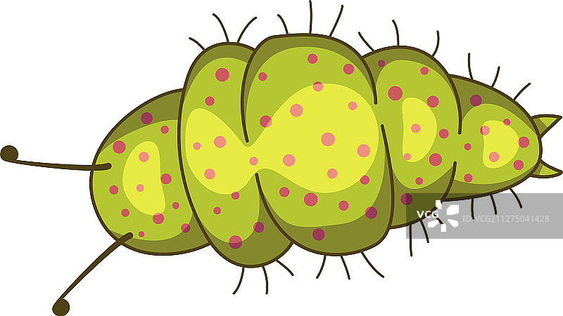 绿色自然昆虫毛毛虫图标图片素材