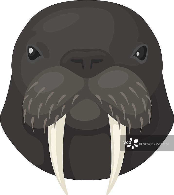 北极海洋动物野生动物海象图标图片素材