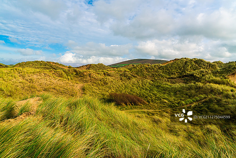 英国罗西利海湾荒芜草地户外风光图片素材