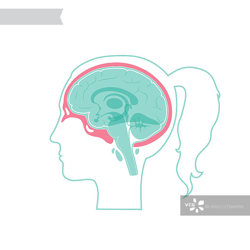 独立的骷髅头图片素材