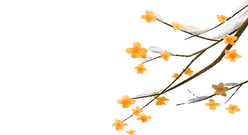 腊梅图片素材
