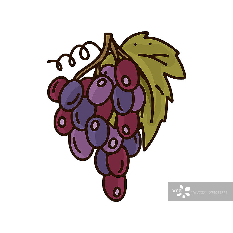 卡通红葡萄隔离图标图片素材