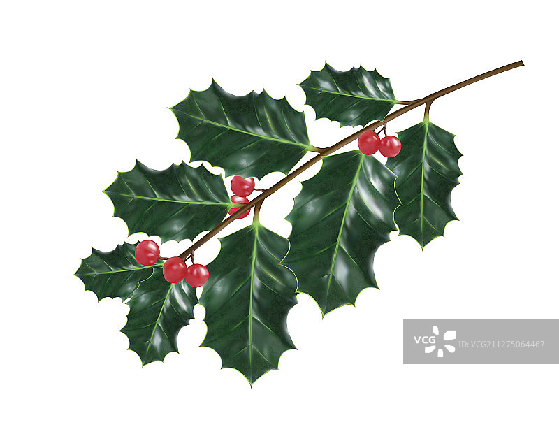 圣诞冬青树装饰品图片素材