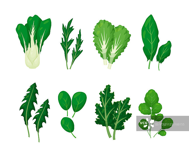 绿色蔬菜沙拉叶图片素材