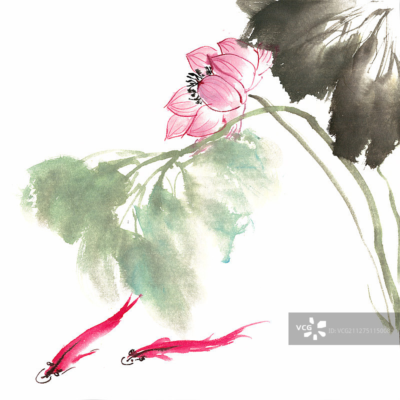 荷花与金鱼图片素材