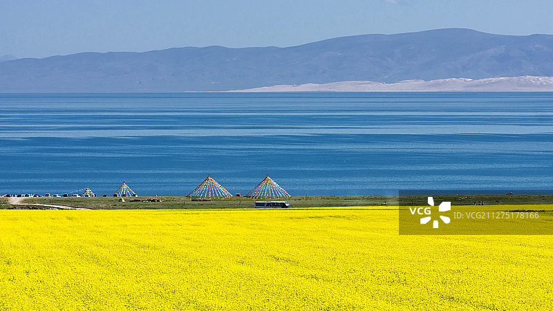 青海湖和油菜花图片素材