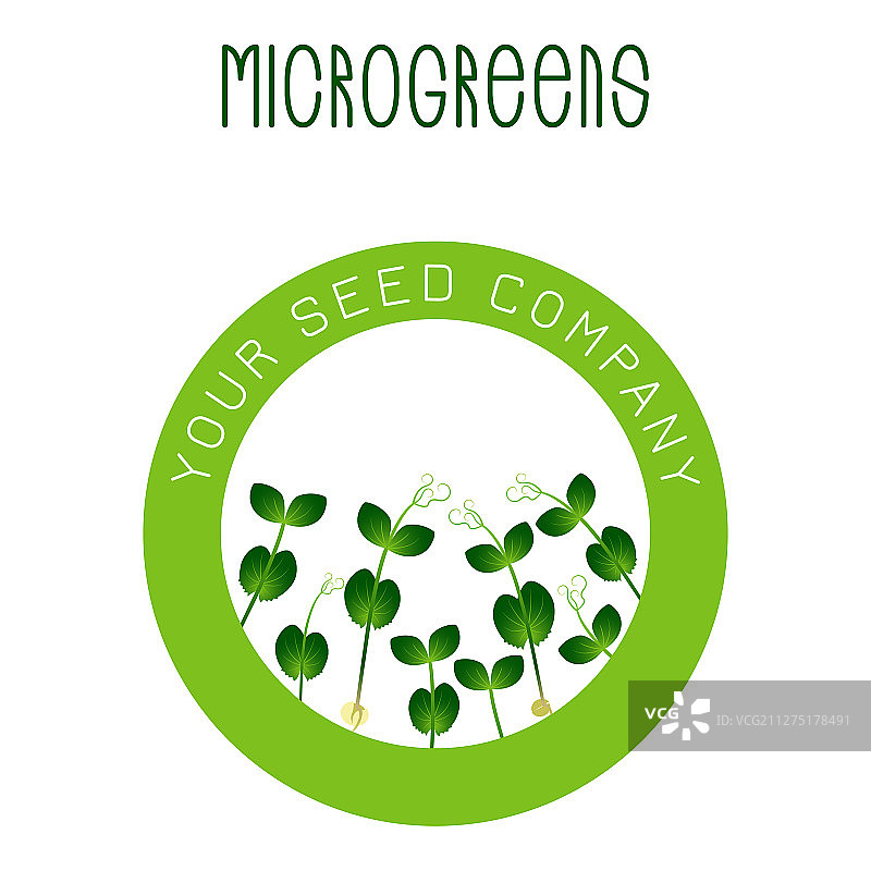 豌豆微型蔬菜种子圆形包装设计图片素材