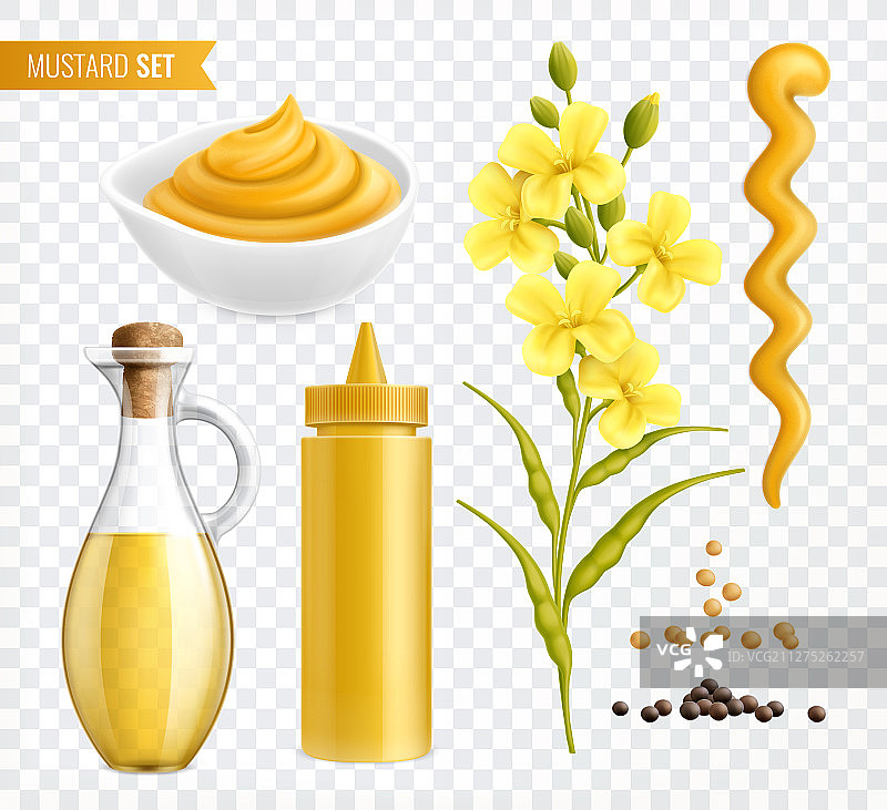 芥末透明逼真套装图片素材