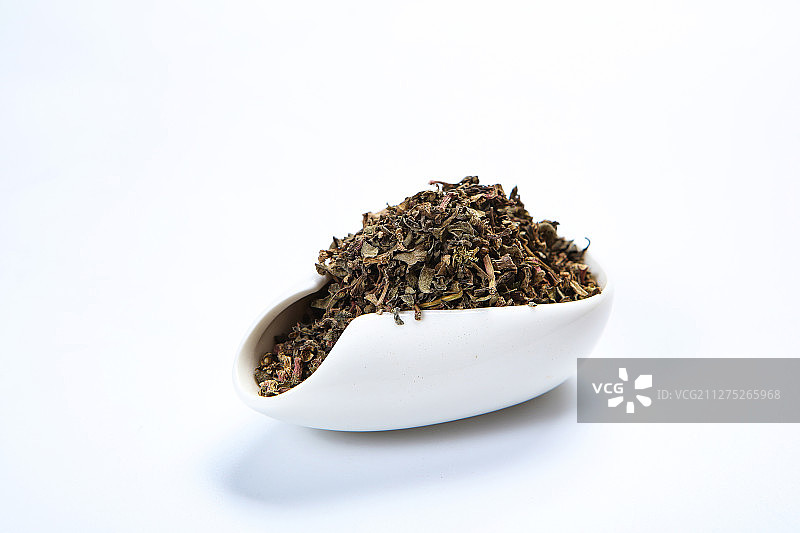 中药材马齿苋图片素材