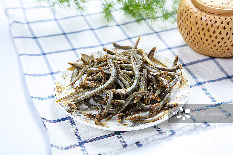 海银鱼图片素材