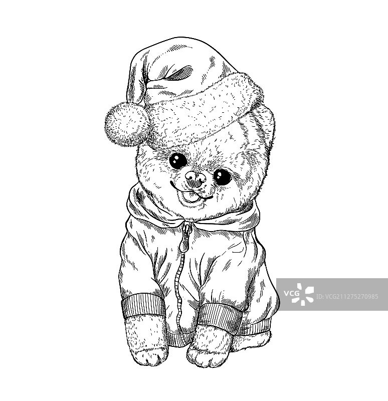 穿着帽衫和圣诞帽的博美犬玩具图片素材