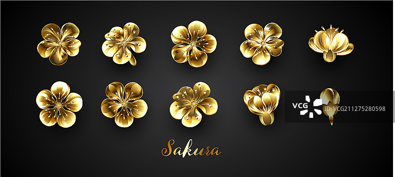 金色樱花套装图片素材