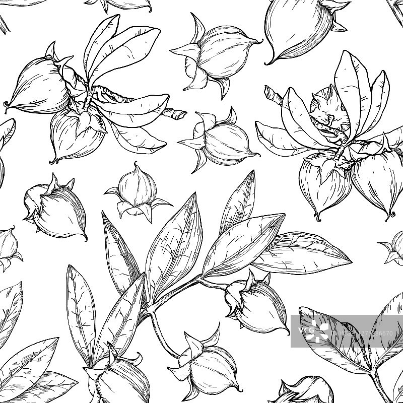 荷荷巴坚果无缝单色图案图片素材