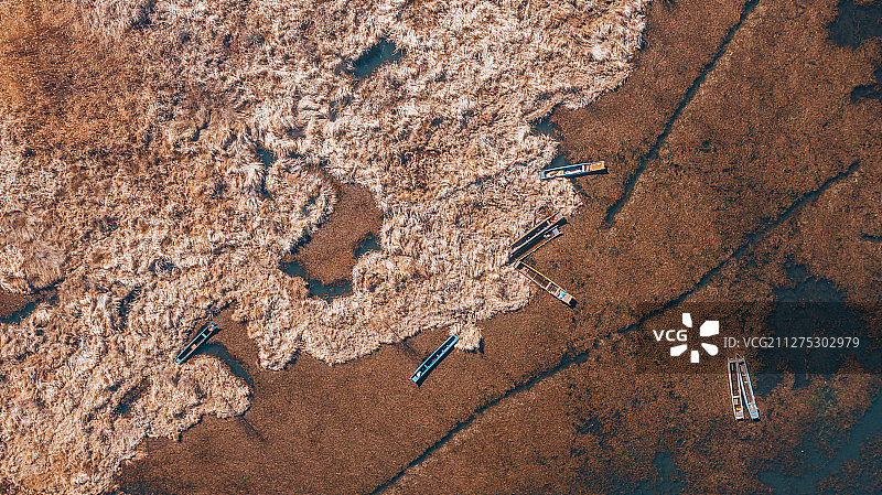 泸沽湖草海俯拍图片素材