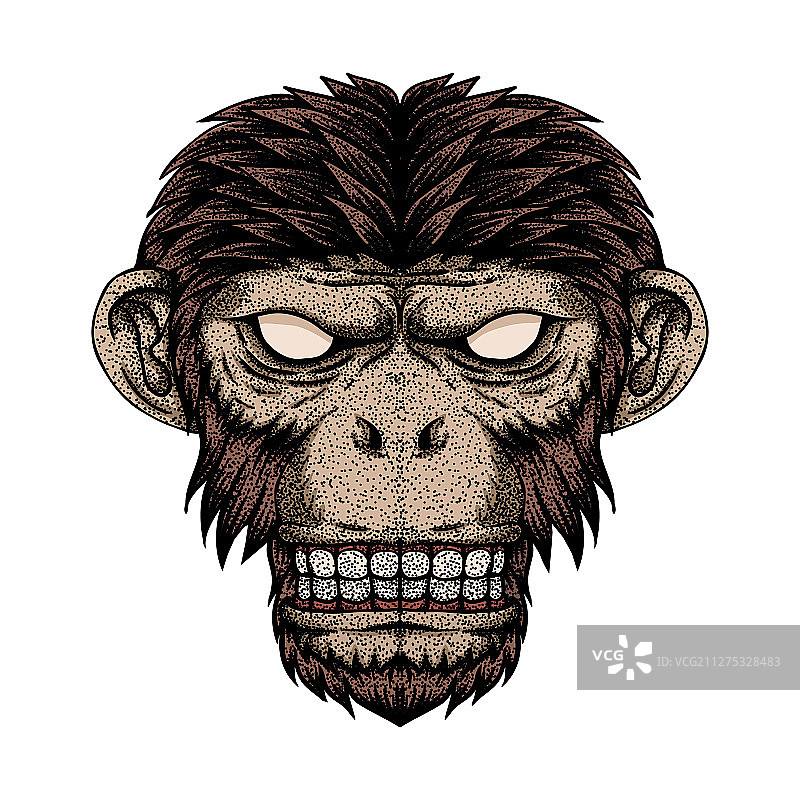 猴头点图片素材