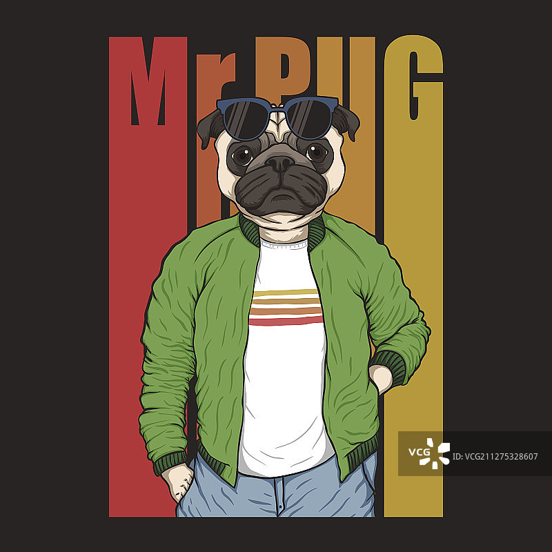 时尚巴哥犬图片素材