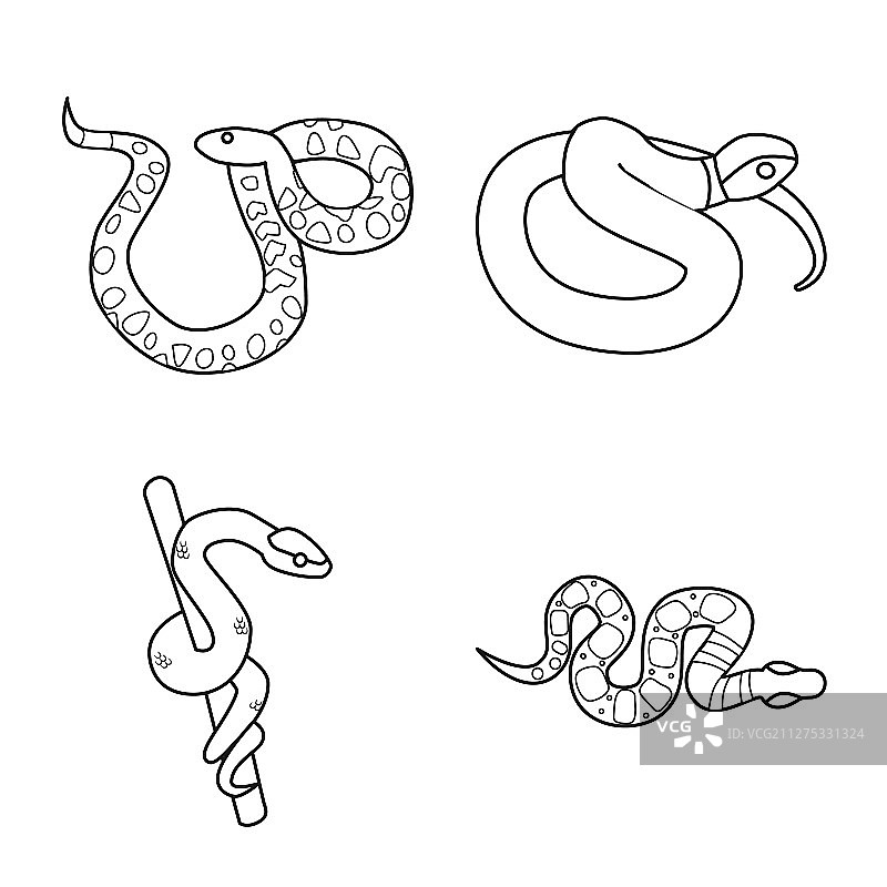 孤立的物体：蛇和令人毛骨悚然的标志图片素材