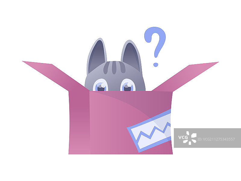 猫屋里的家猫图片素材