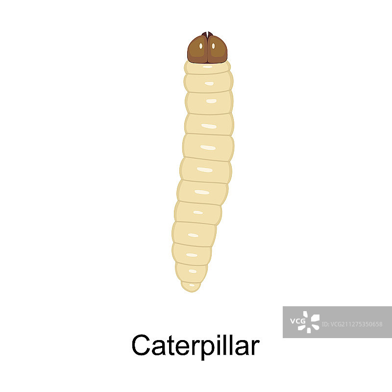 毛毛虫卡通图标图片素材