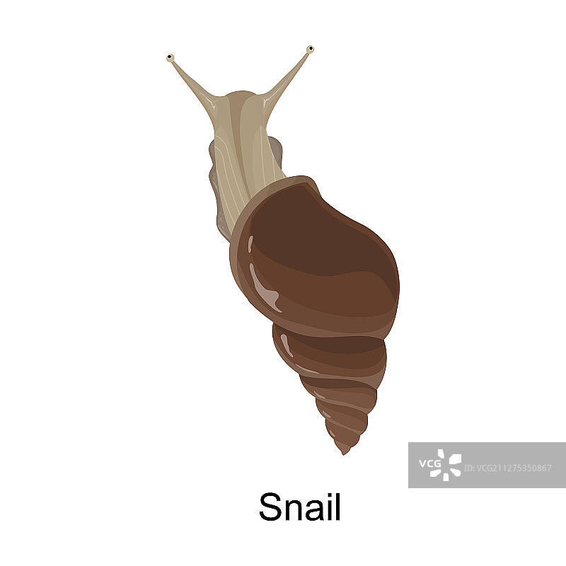 卡通蜗牛图标图片素材