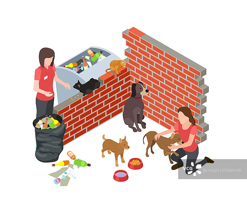 流浪动物问题：流浪猫狗关爱图片素材