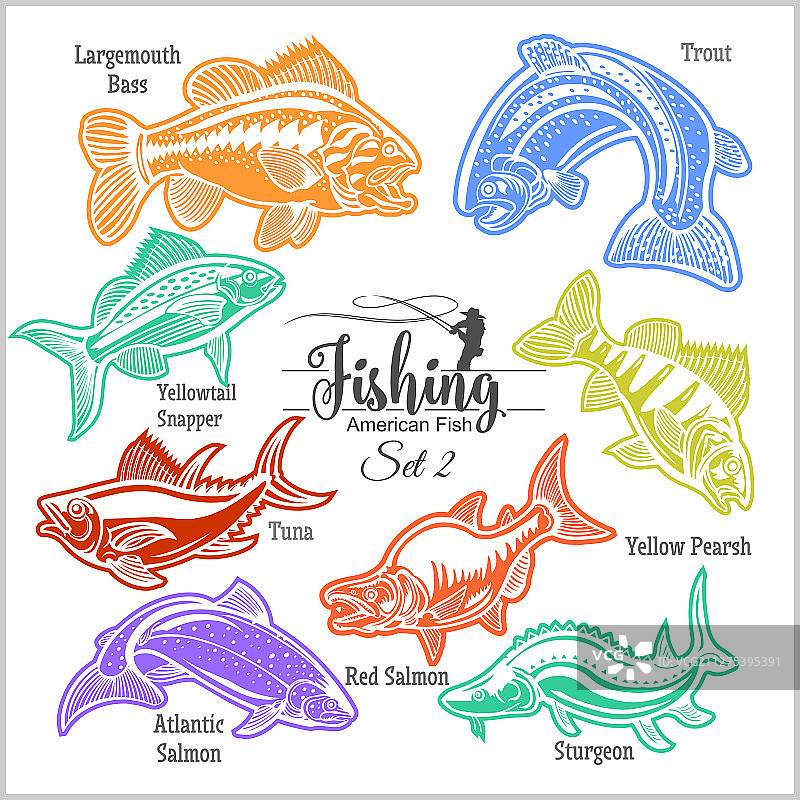 美国鱼类创意设计套装2图片素材