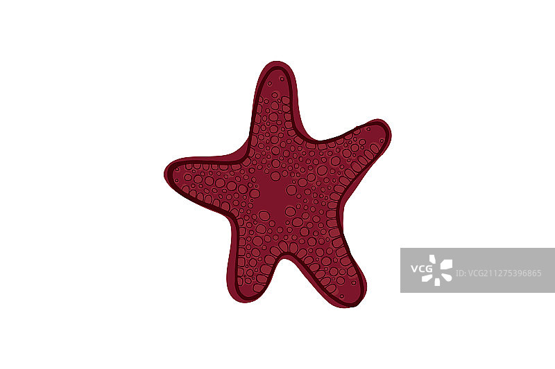 红色海星图片素材