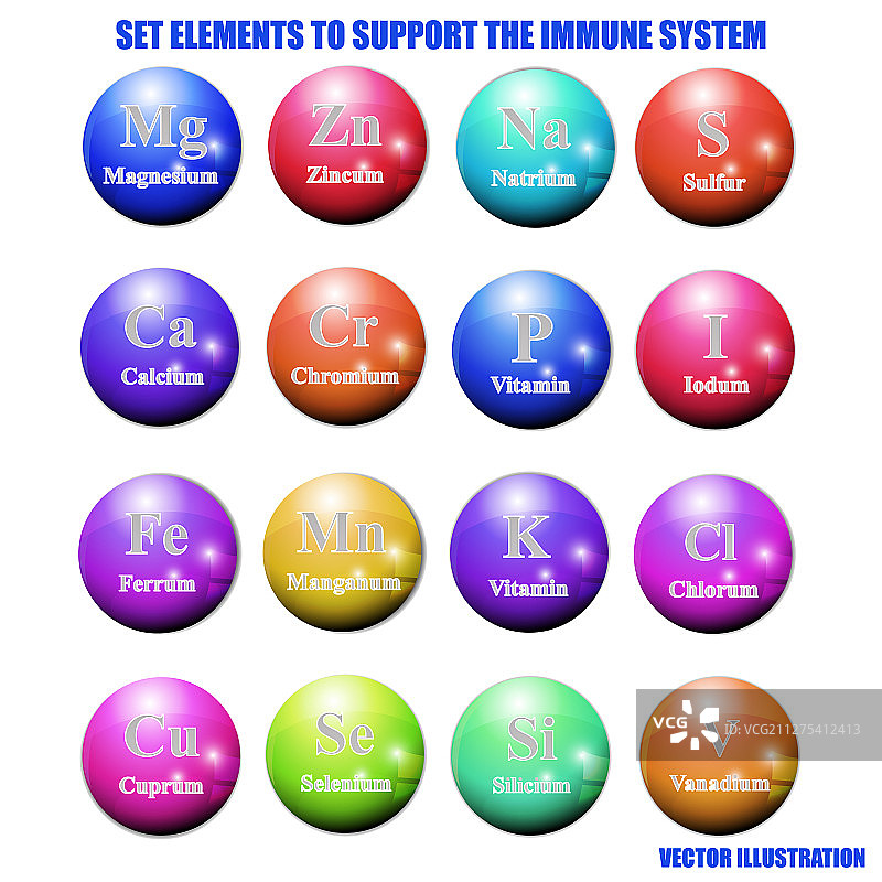 支持免疫系统的元素和维生素套装图片素材
